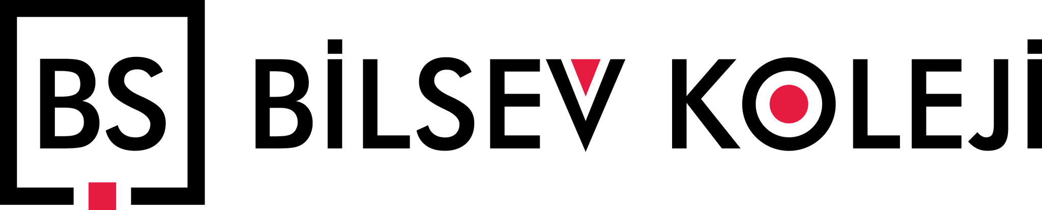 Bilsev Koleji logosu